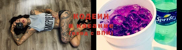сатива Верхний Тагил