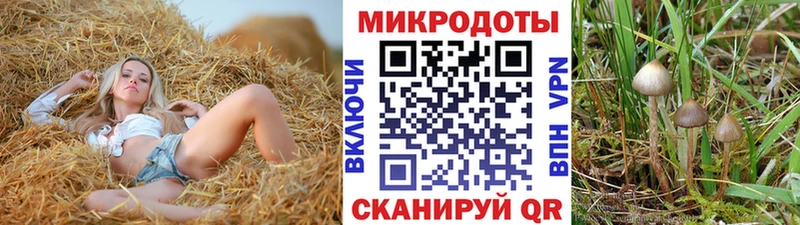 Галлюциногенные грибы Psilocybine cubensis  Купить где  Севск 